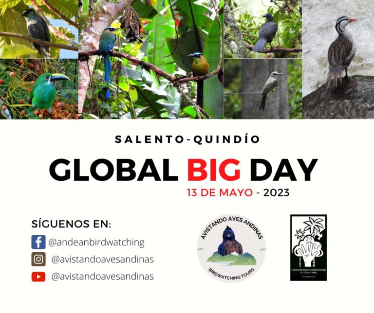 Read more about the article Global Big Day 2023 Is Coming!